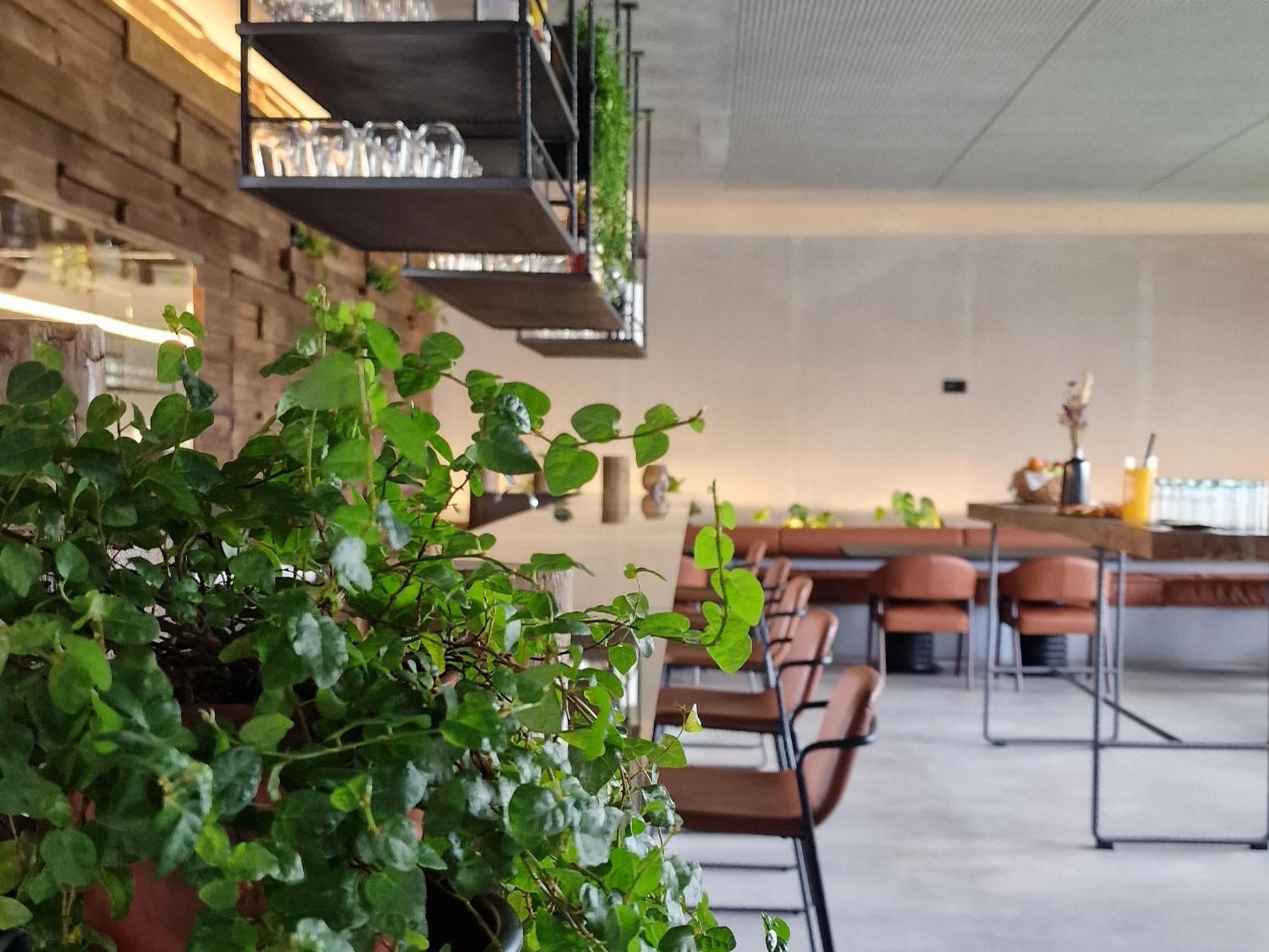 Puro Dao Hotel & Spa Nelas Zewnętrze zdjęcie